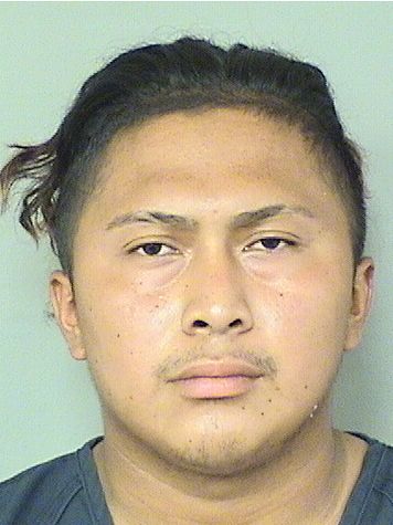  JAVIER ENRIQUE GALANVIGIL Results from Palm Beach County Florida for  JAVIER ENRIQUE GALANVIGIL