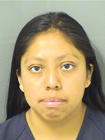  ROSA ALONZO Resultados de la busqueda para Palm Beach County Florida para  ROSA ALONZO