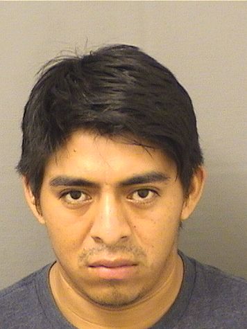  DAVIS ADOLFO LUCCATU Results from Palm Beach County Florida for  DAVIS ADOLFO LUCCATU