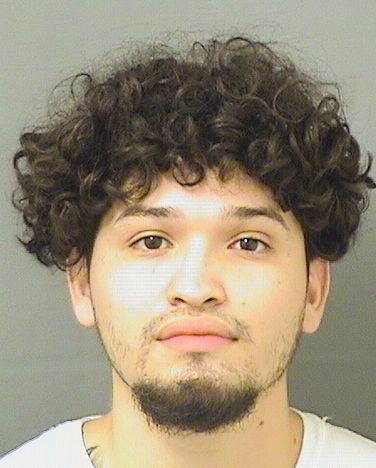  ELVI M FLORESBENITEZ Results from Palm Beach County Florida for  ELVI M FLORESBENITEZ