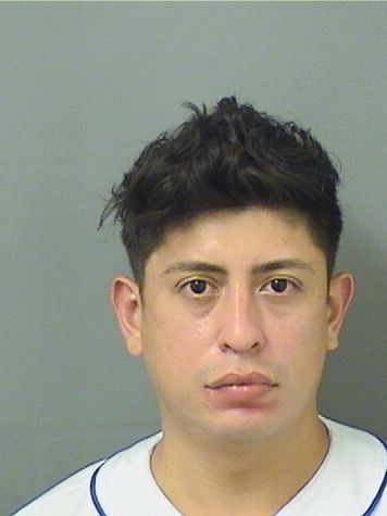  NORLAN JOSUE LUNAPALACIOS Photo For  NORLAN JOSUE LUNAPALACIOS