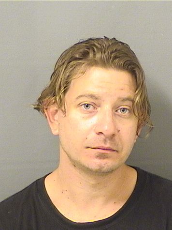  JESSE M RICCIARDELLI Photo For  JESSE M RICCIARDELLI