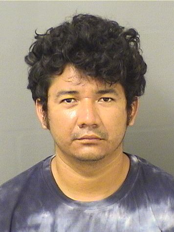 LUCAS LEONIDA JACINTOROZ Results from Palm Beach County Florida for LUCAS LEONIDA JACINTOROZ LUCAS LEONIDA JACINTOROZ Results from Palm Beach County Florida for LUCAS LEONIDA JACINTOROZ