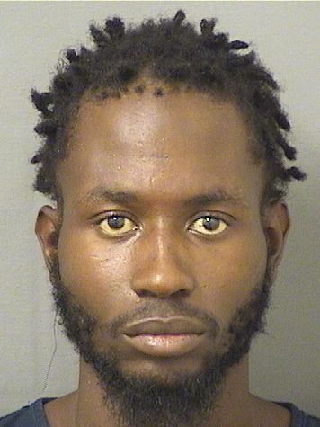  PHILIPPE DANIEL ULYSSE Results from Palm Beach County Florida for  PHILIPPE DANIEL ULYSSE