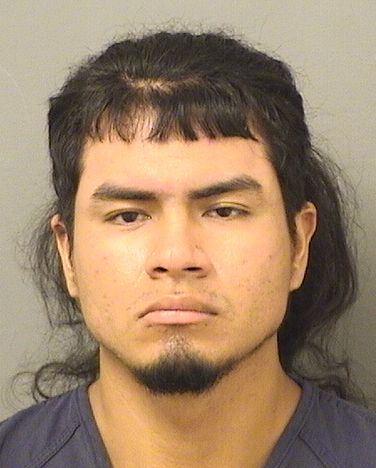  SEBASTIAN MICHAEL RODRIGUEZ Resultados de la busqueda para Palm Beach County Florida para  SEBASTIAN MICHAEL RODRIGUEZ