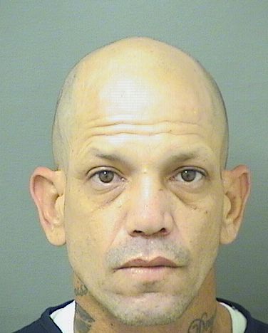  DAMIAN RAMALLO Results from Palm Beach County Florida for  DAMIAN RAMALLO