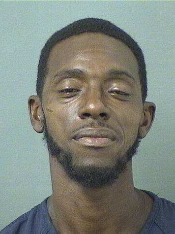  RONALD J JACKSON Results from Palm Beach County Florida for  RONALD J JACKSON