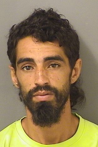  DANIEL SOTOMARTINEZ Results from Palm Beach County Florida for  DANIEL SOTOMARTINEZ