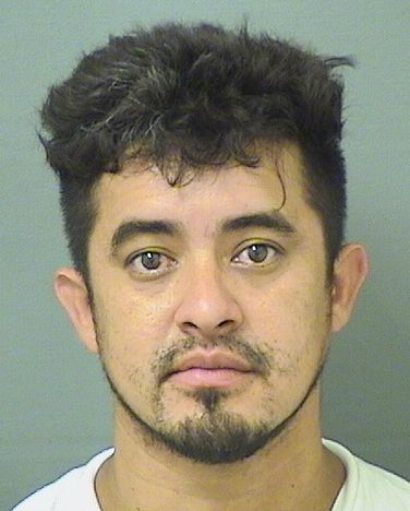  EMILIO J GALDAMESGALLARDO Results from Palm Beach County Florida for  EMILIO J GALDAMESGALLARDO