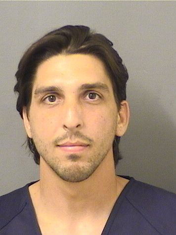  ALEXANDER DINARDO Results from Palm Beach County Florida for  ALEXANDER DINARDO