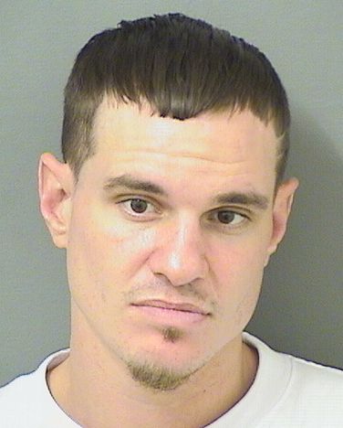  THOMAS NEIL GOSNELL Results from Palm Beach County Florida for  THOMAS NEIL GOSNELL