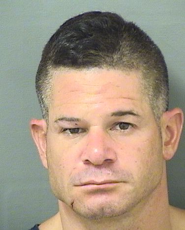 CHRISTIAN LIONEL DIORSINI Results from Palm Beach County Florida for  CHRISTIAN LIONEL DIORSINI