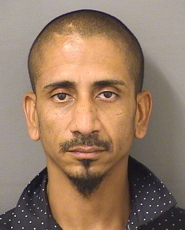 DANIEL THOMAS RAMOS Photos For  DANIEL THOMAS RAMOS  DANIEL THOMAS RAMOS Photo For  DANIEL THOMAS RAMOS