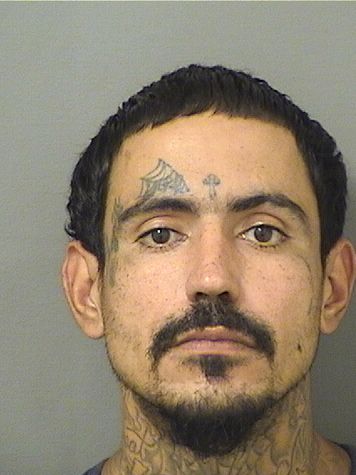 JOEL SANUDO Results from Palm Beach County Florida for  JOEL SANUDO