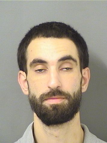  MICHAEL Z AGRAN Results from Palm Beach County Florida for  MICHAEL Z AGRAN