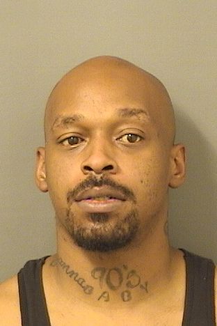  RODNEY WILLIAMS Results from Palm Beach County Florida for  RODNEY WILLIAMS