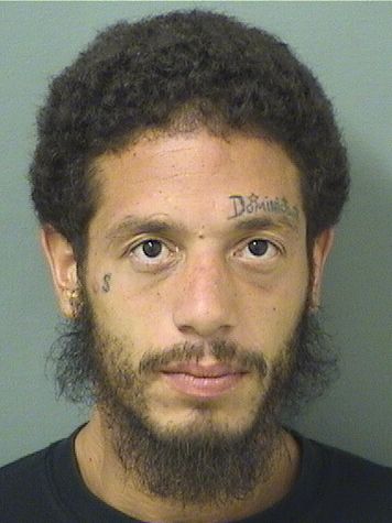  KELVIN MORA Resultados de la busqueda para Palm Beach County Florida para  KELVIN MORA