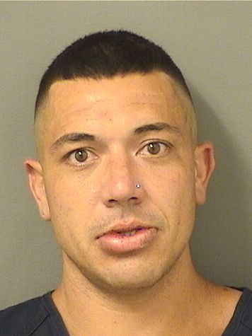  NICHOLAS RAYMOND DAIGNAULT Resultados de la busqueda para Palm Beach County Florida para  NICHOLAS RAYMOND DAIGNAULT