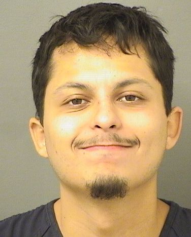  FABIAN ROJAS Results from Palm Beach County Florida for  FABIAN ROJAS