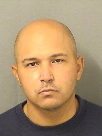  NOEL VAZQUEZ Photo For  NOEL VAZQUEZ