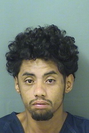  WILVER JOEL SILVAOCHOA Results from Palm Beach County Florida for  WILVER JOEL SILVAOCHOA