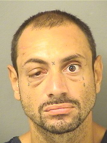 RANDY ALBERTO RODRIGUEZ Results from Palm Beach County Florida for  RANDY ALBERTO RODRIGUEZ
