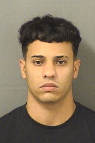  RICARDO KADIR ARBELOFIGUEROA Results from Palm Beach County Florida for  RICARDO KADIR ARBELOFIGUEROA