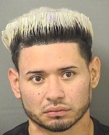  CRISTHIAN JOSE JARQUIN Results from Palm Beach County Florida for  CRISTHIAN JOSE JARQUIN