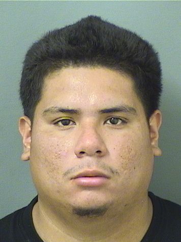  JULIO VERNE VERARIVERA Resultados de la busqueda para Palm Beach County Florida para  JULIO VERNE VERARIVERA