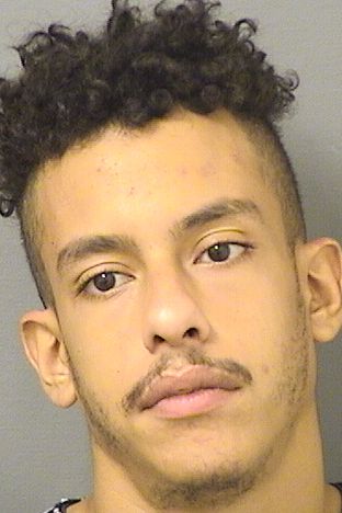  HAMZA NAOURI Results from Palm Beach County Florida for  HAMZA NAOURI