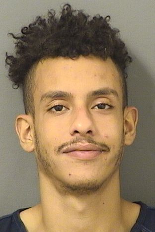  HAMZA NAOURI Results from Palm Beach County Florida for  HAMZA NAOURI