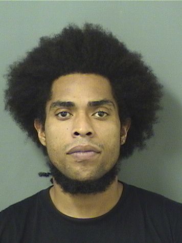  GABRIEL S BAPTISTE Results from Palm Beach County Florida for  GABRIEL S BAPTISTE