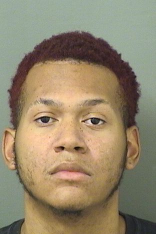  RODNEY MICHAEL Jr CHAVERS Resultados de la busqueda para Palm Beach County Florida para  RODNEY MICHAEL Jr CHAVERS