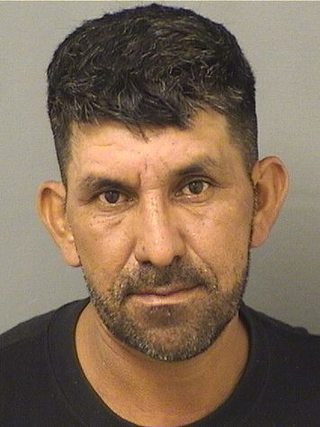  JOSE ISMAEL VASQUEZ Resultados de la busqueda para Palm Beach County Florida para  JOSE ISMAEL VASQUEZ