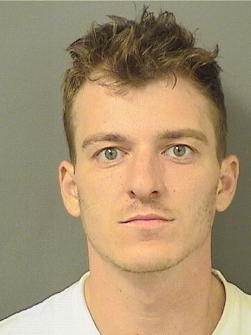  ALEX VANLIEW Results from Palm Beach County Florida for  ALEX VANLIEW