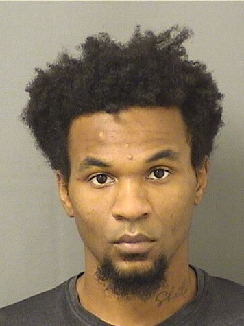  DIONTE ONEIL ELLIS Results from Palm Beach County Florida for  DIONTE ONEIL ELLIS