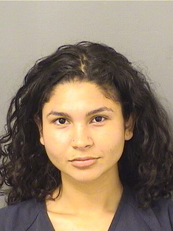  ANGELICA EVANGELINA PINIERO Results from Palm Beach County Florida for  ANGELICA EVANGELINA PINIERO