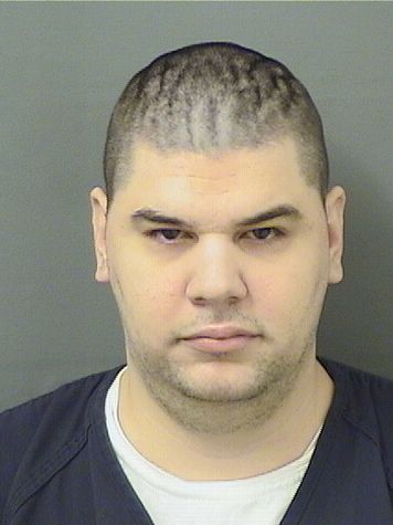  TYLER DISNEY Results from Palm Beach County Florida for  TYLER DISNEY