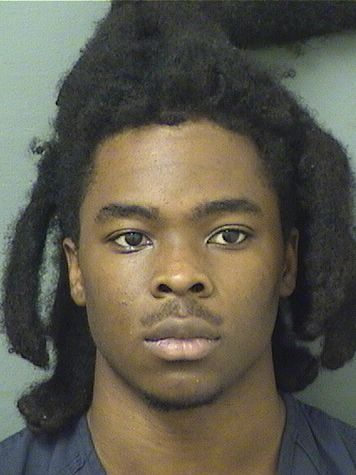  REGINALD DORMEUS Results from Palm Beach County Florida for  REGINALD DORMEUS