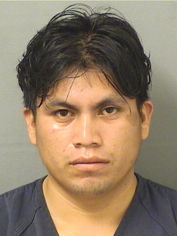  WILSON ALEXANDER PEREZYPEREZ Photo For  WILSON ALEXANDER PEREZYPEREZ