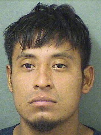  FREDY FILBERTO PEREZGARCIA Results from Palm Beach County Florida for  FREDY FILBERTO PEREZGARCIA