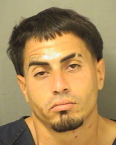  CARLOS IVAN TIRADORODRIGUEZ Resultados de la busqueda para Palm Beach County Florida para  CARLOS IVAN TIRADORODRIGUEZ