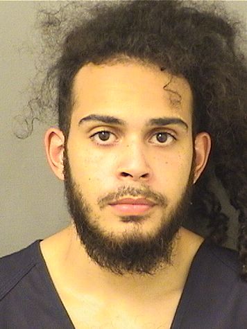  CHANDLER HERNANDEZ Results from Palm Beach County Florida for  CHANDLER HERNANDEZ