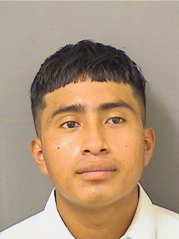  MAYO WUILFIDIO CRUZRAMIREZ Resultados de la busqueda para Palm Beach County Florida para  MAYO WUILFIDIO CRUZRAMIREZ