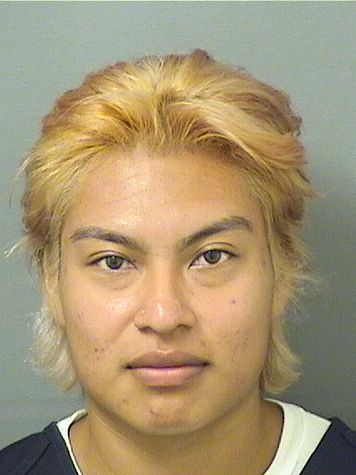  EMILIO RICARDO VICENTE Resultados de la busqueda para Palm Beach County Florida para  EMILIO RICARDO VICENTE