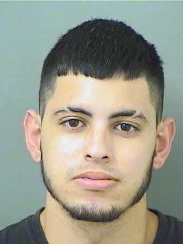  CARLOS CARDENAMONTESDEO Results from Palm Beach County Florida for  CARLOS CARDENAMONTESDEO