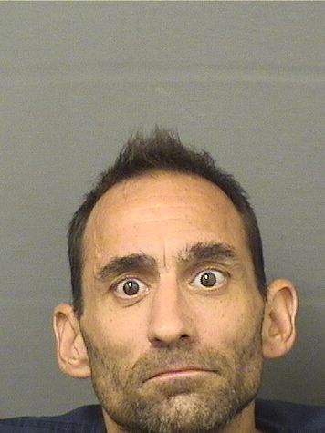  JUSTIN SAMUEL DILUIGI Results from Palm Beach County Florida for  JUSTIN SAMUEL DILUIGI