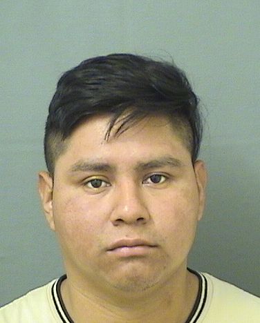  FELIPE ROMUALDO CHOVONGUARCHAJ Results from Palm Beach County Florida for  FELIPE ROMUALDO CHOVONGUARCHAJ