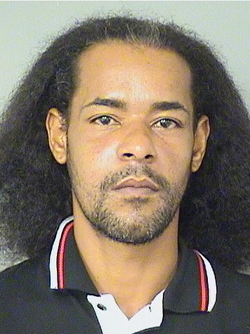  DAVID JOSE AYALAROSARIO Results from Palm Beach County Florida for  DAVID JOSE AYALAROSARIO