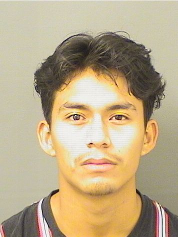  DENIS ALVA Resultados de la busqueda para Palm Beach County Florida para  DENIS ALVA